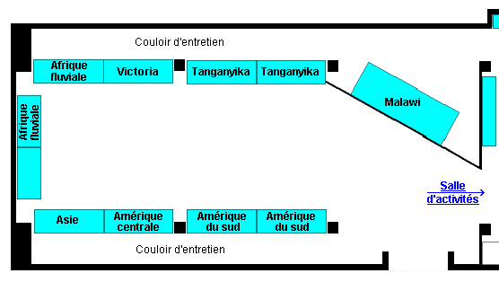 Plan de la salle d'exposition