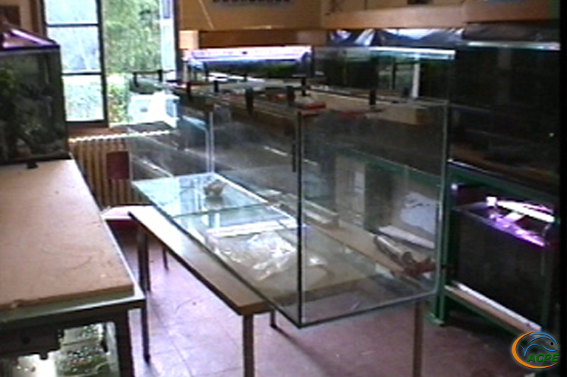 1er octobre 2000, réparation aquarium de 600 litres dans la salle d'expo