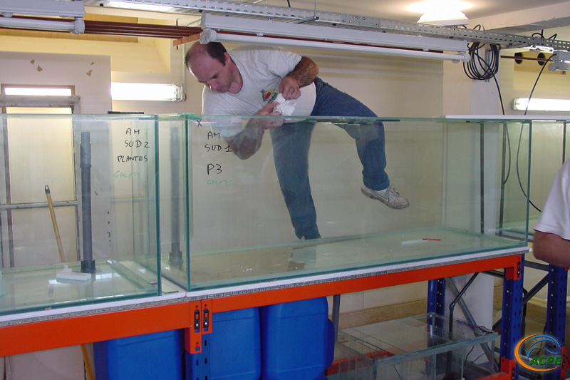 28 août 2002, Gabriel fait l’acrobate pour finaliser la descente d’eau d’un bac amazonien