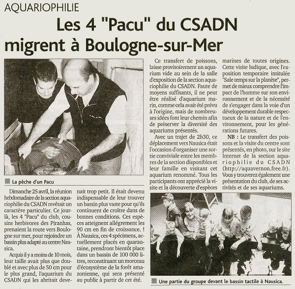 Démocrate vernonnais du 5 mai 2004 - Les 4 "Pacu" du CSADN migrent à Boulogne-sur-mer