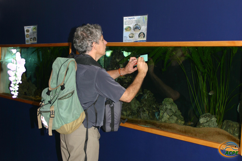 Week end aquariophile des 16 et 17 septembre 2006