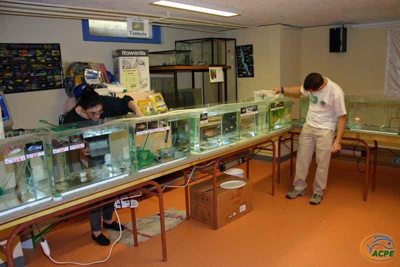 Week-end aquariophile des 21 et 22 avril 2007
