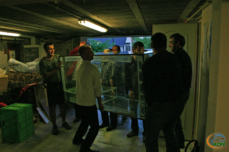 Déménagement dans la Fishroom de William, le 18 septembre 2010
