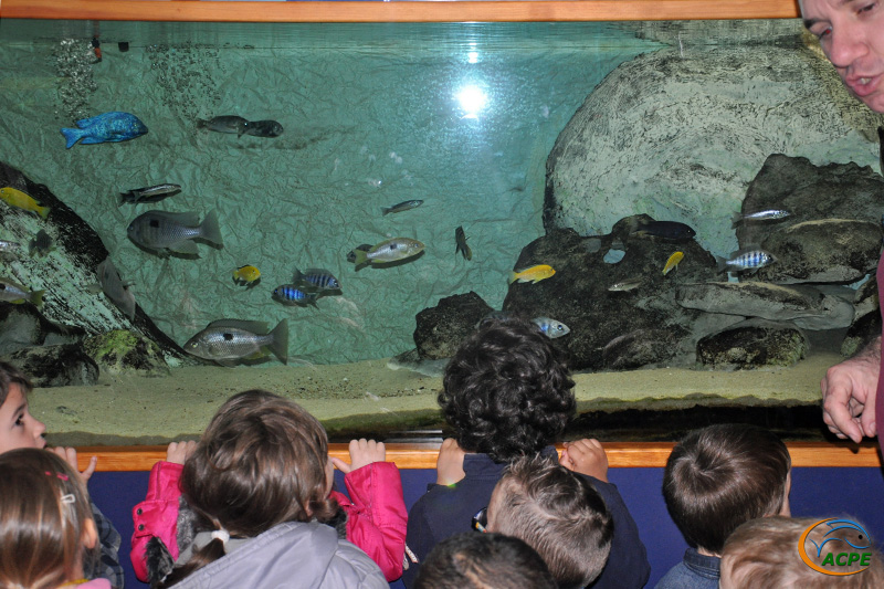 6 mai 2014, visite des élèves de l'école Maria Montessori