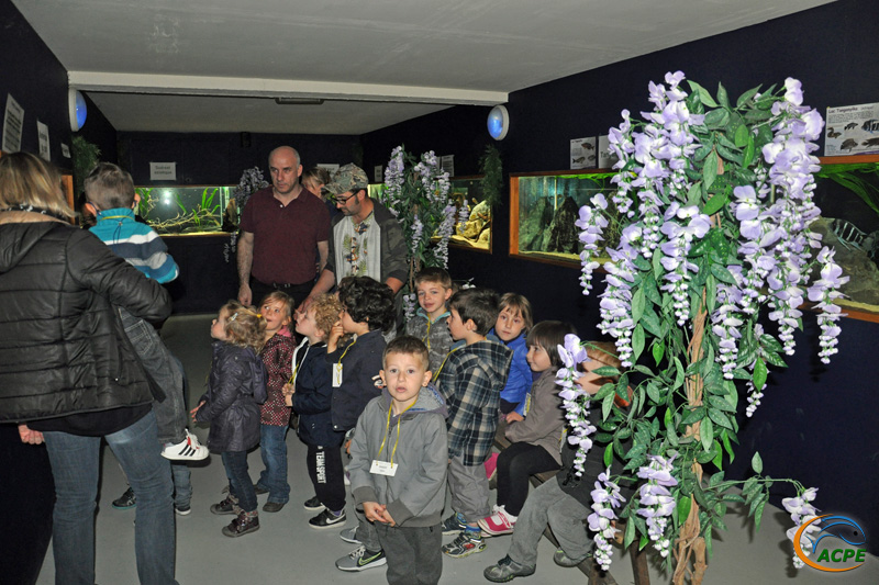 6 mai 2014, visite des élèves de l'école Maria Montessori