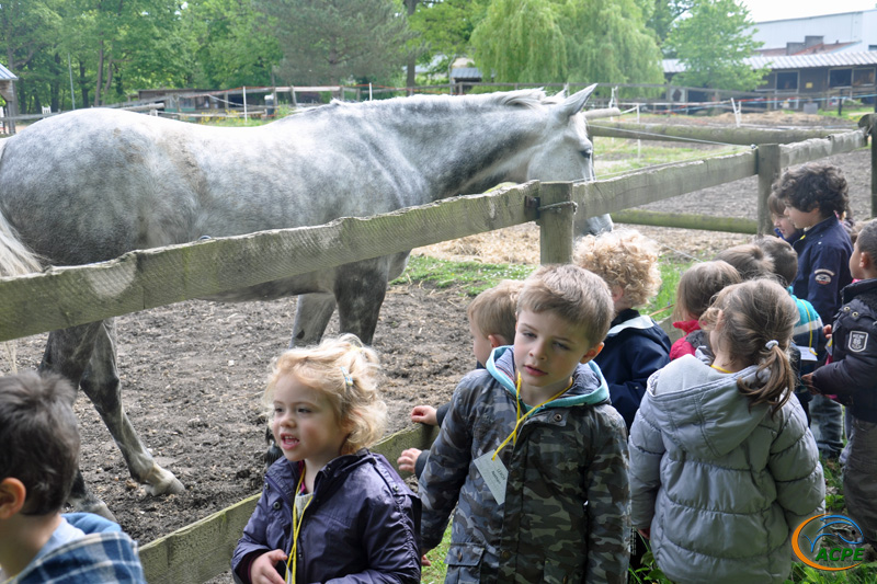 6 mai 2014, visite des élèves de l'école Maria Montessori