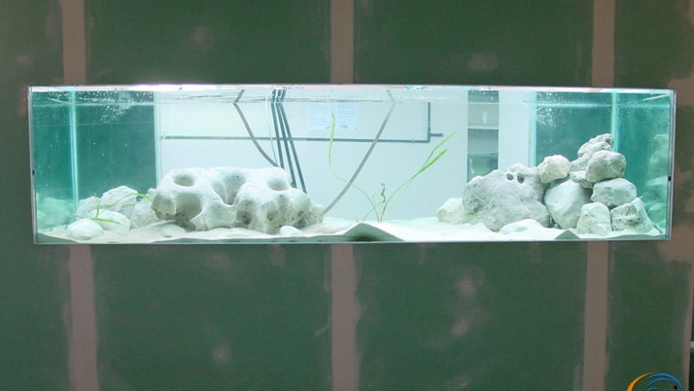 18 mai 2003, l'aquarium est terminé et en service, en attente de sa population