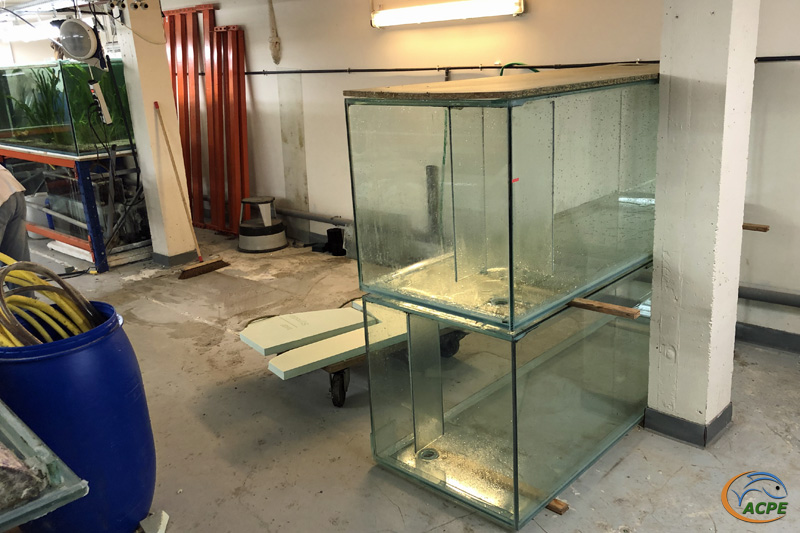 19 janvier 2020, les deux premiers aquariums remisés et prêts au déménagement