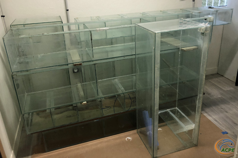 21 novembre 2021, les batteries d'aquariums stockées dans l'atelier