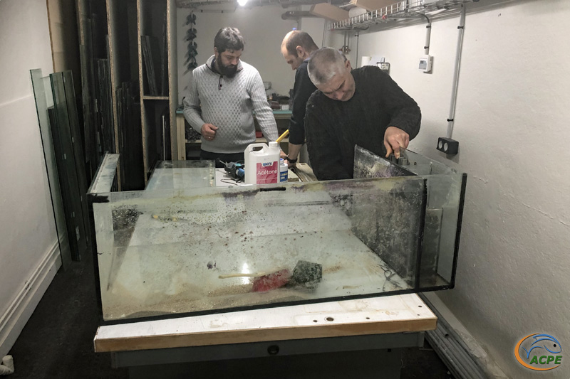 5 janvier 2022, début de rénovation du second aquarium du niveau intermédiaire
