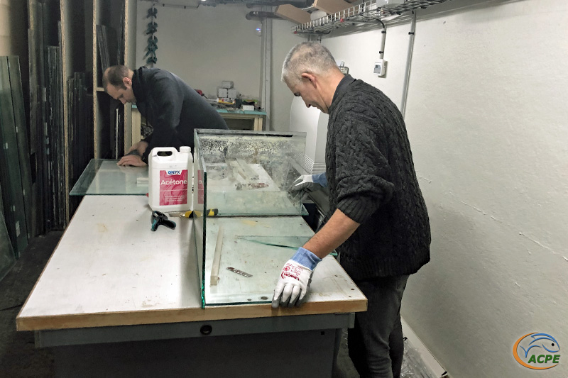 12 janvier 2021, poursuite de la reprise de l'aquarium de 170 litres