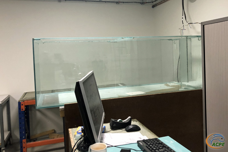 26 janvier 2022, mise en place de l'aquarium de 1000 litres dans la salle d'activités