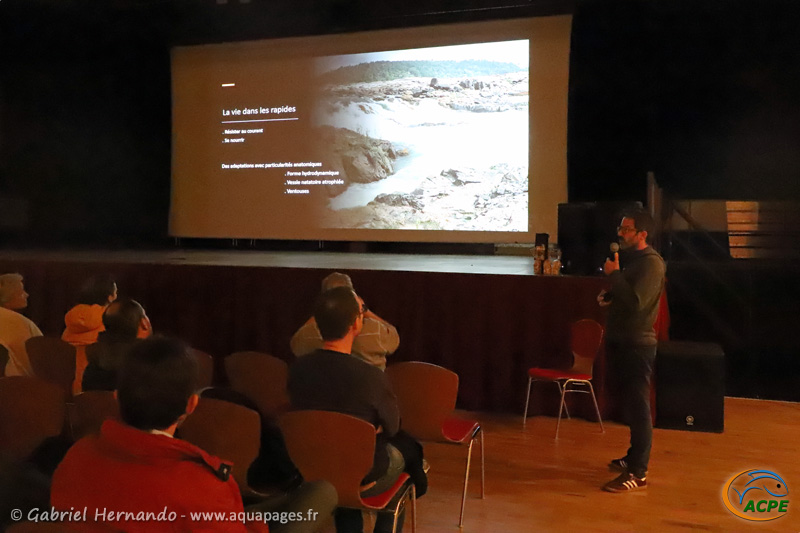 Conférence de Florent De Gasperis « la présentation des poissons des milieux extrêmes en aquarium public, des idées pour les cichlidophiles »